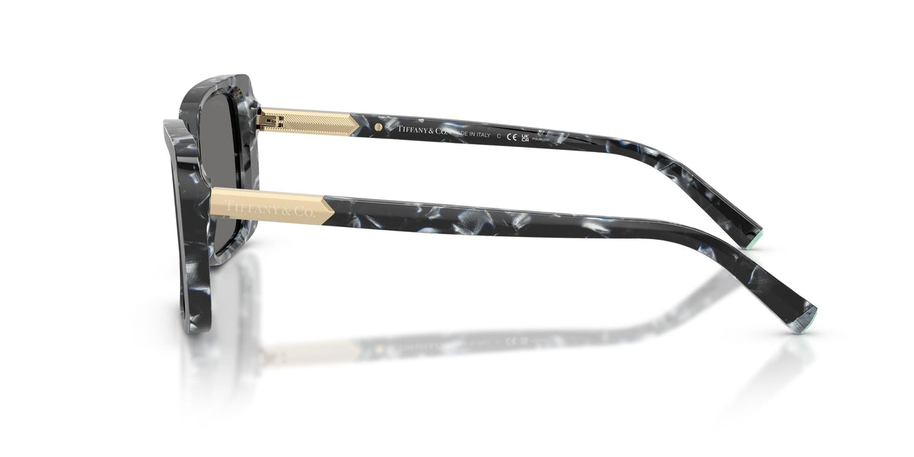 842881 - Tortoise - Dark Grey Polarized