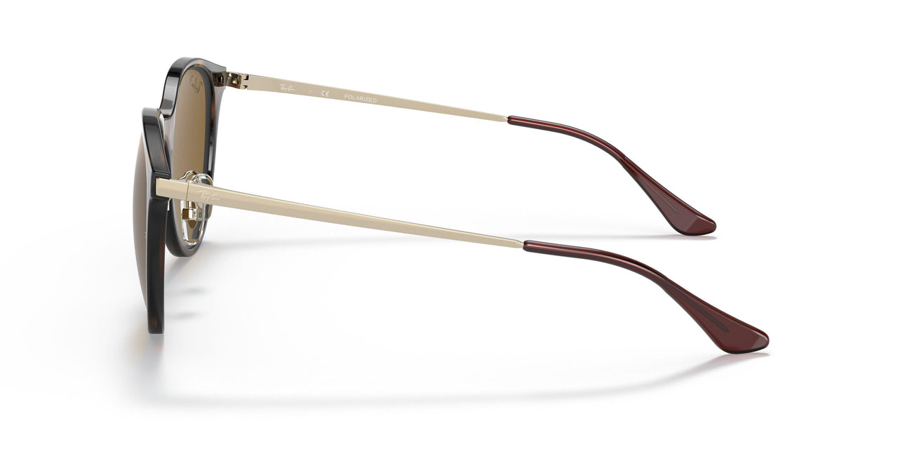 710/83 - Tortoise - Brown