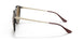 710/83 - Tortoise - Brown