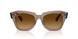 682785 - Brown - Gradient Brown