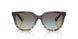 420211 - Brown - Grey Gradient