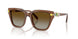 1067T5 - Brown - Gradient Brown Polar