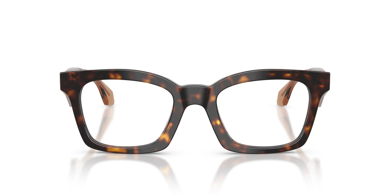 5026 - Tortoise