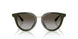 640013 - Green - Grey Gradient Brown