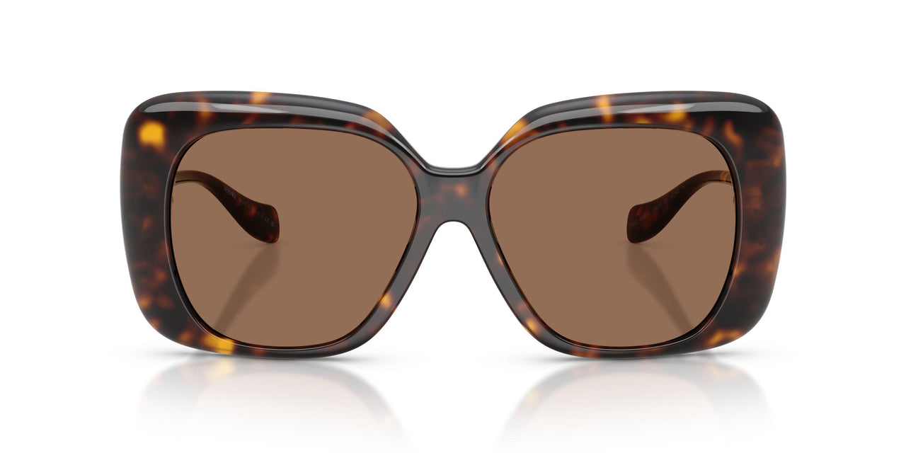 108/73 - Tortoise - Dark Brown