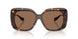 108/73 - Tortoise - Dark Brown