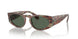597771 - Brown - Dark Green