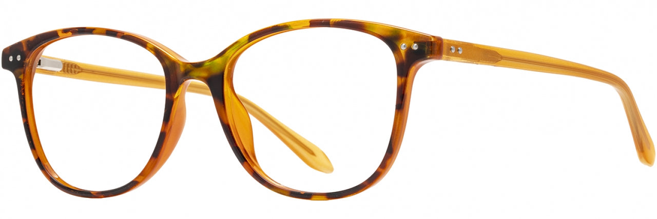 2 - Orange Tortoise