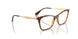 W656 - Brown