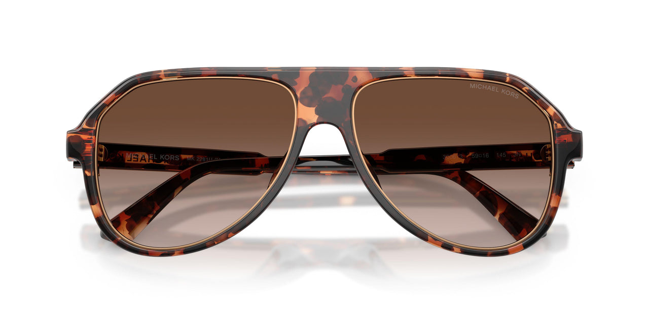 300613 - Tortoise - Smoke Gradient