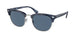 Polo 4217 Sunglasses