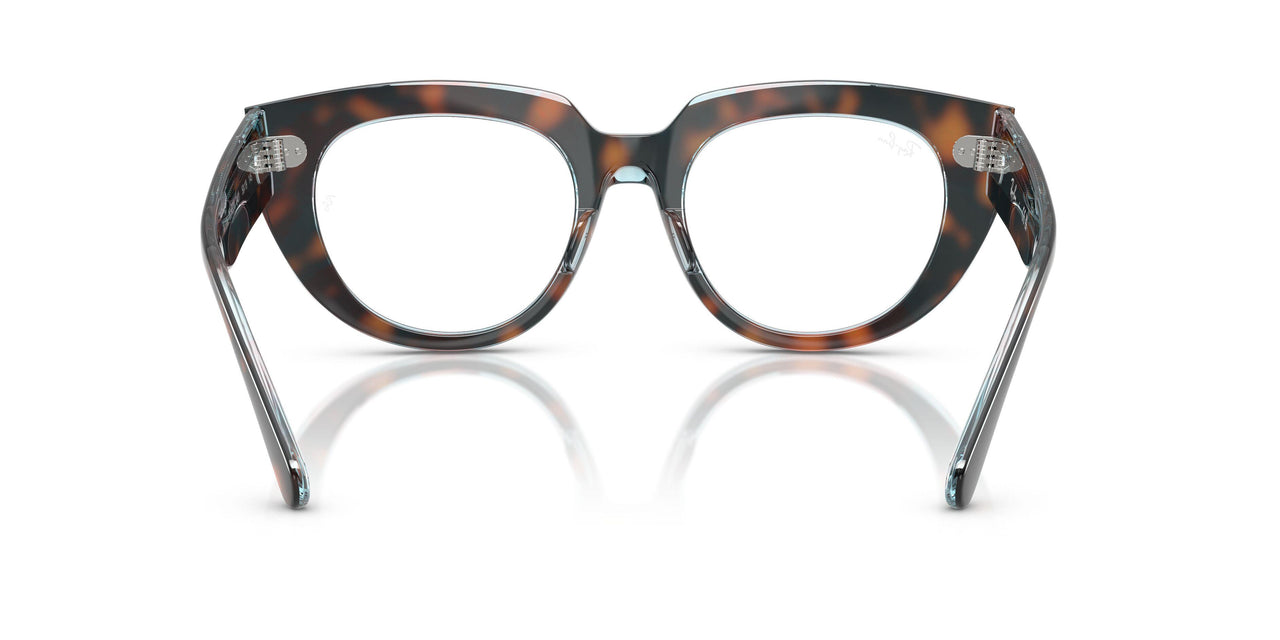 8401 - Tortoise - Clear