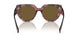 18N01T - Brown - Dark Brown