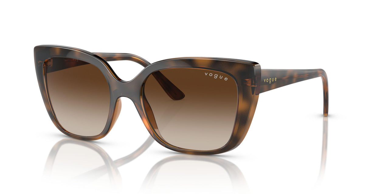 238613 - Havana - Brown Gradient