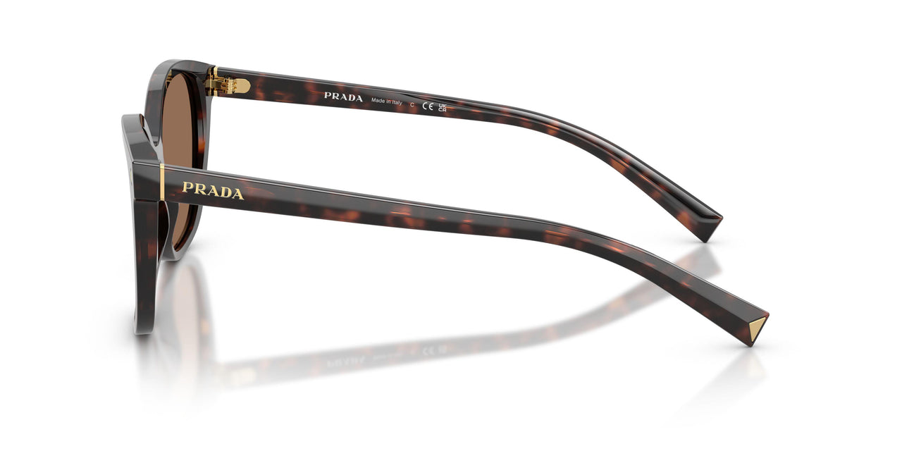 17N06B - Tortoise - Dark Brown