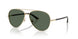 Jimmy Choo 4026 Sunglasses
