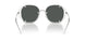 301587 - Silver - Dark Grey