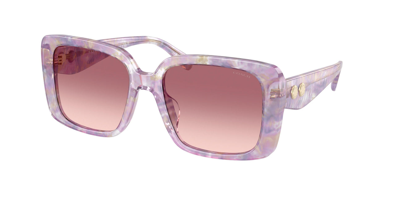 Coach Cad55 8424F Sunglasses
