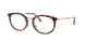 Ray-Ban 7255 Eyeglasses