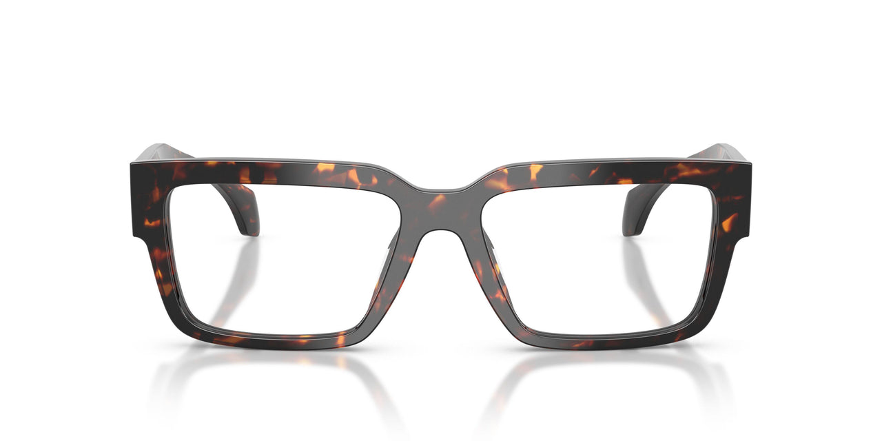 5509 - Tortoise