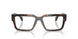 5509 - Tortoise