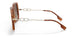 391513 - Brown - Brown Gradient