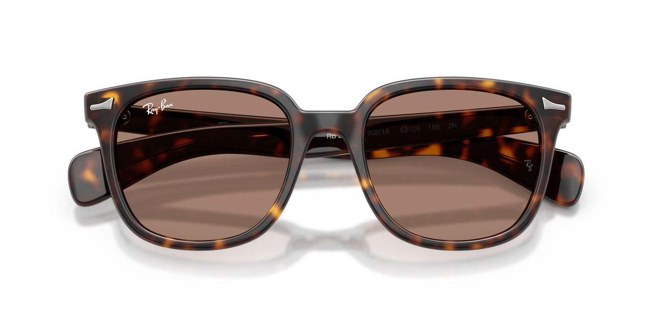 902/1A - Tortoise - Light Violet