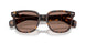 902/1A - Tortoise - Light Violet
