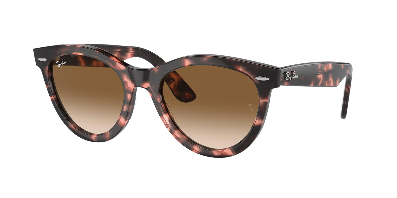 Ray-Ban Wayfarer Way 2241 Sunglasses