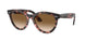 Ray-Ban Wayfarer Way 2241 Sunglasses