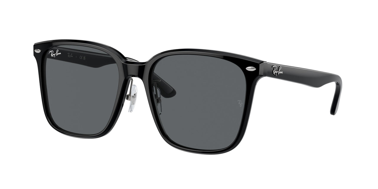 Ray-Ban 2206D Sunglasses
