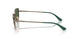 51389A - Brown - Dark Green Polar