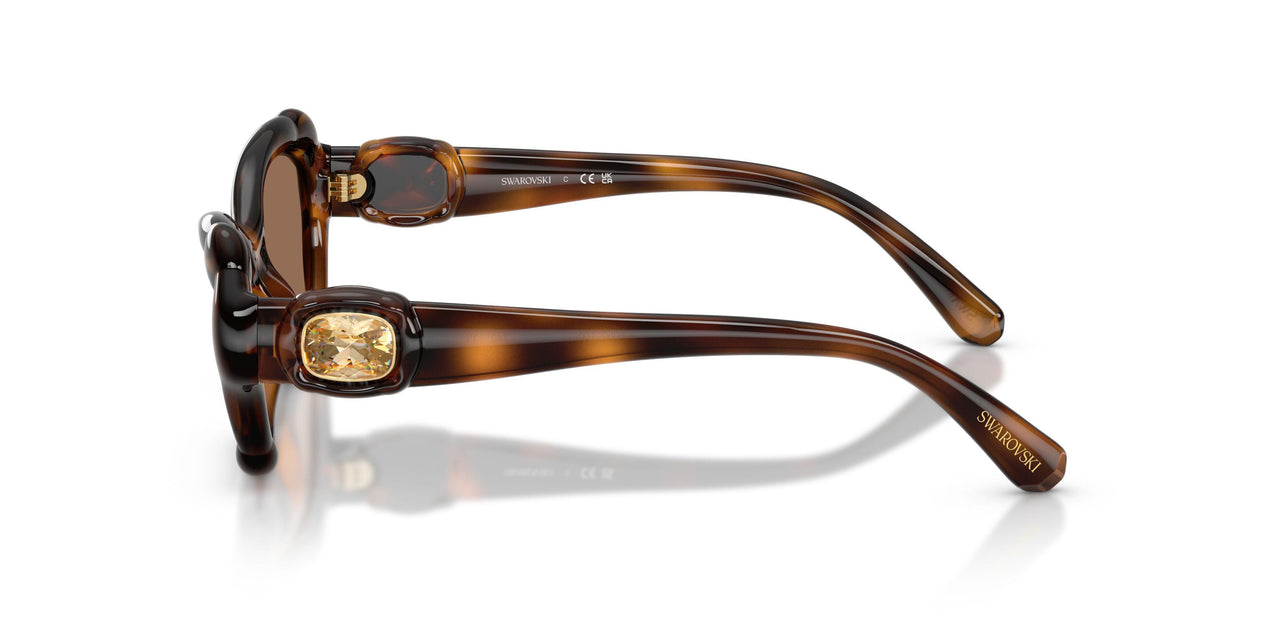 100273 - Tortoise - Dark Brown