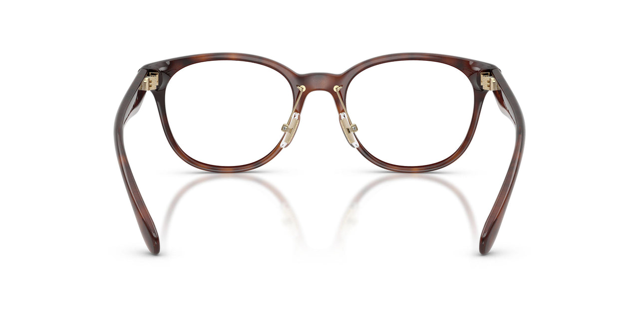 5120 - Tortoise