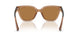 839673 - Brown - Bronze