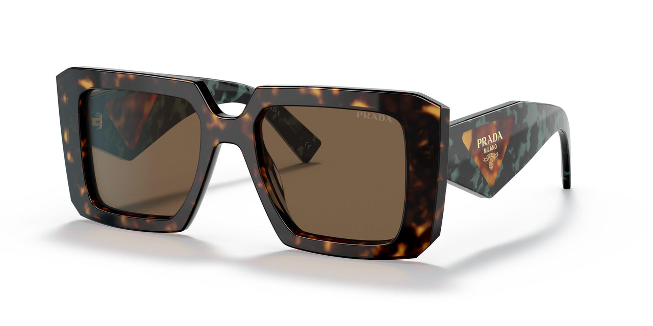 2AU06B - Havana - Dark Brown