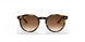 706468 - Transparent Fuxia - Violet Gradient Brown