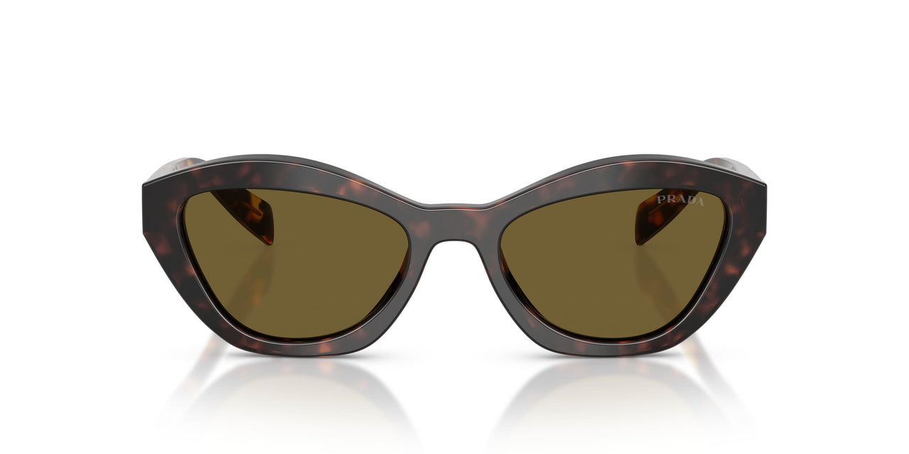 17N09Z - Tortoise - Dark Brown