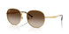 001/13 - Gold - Brown Gradient