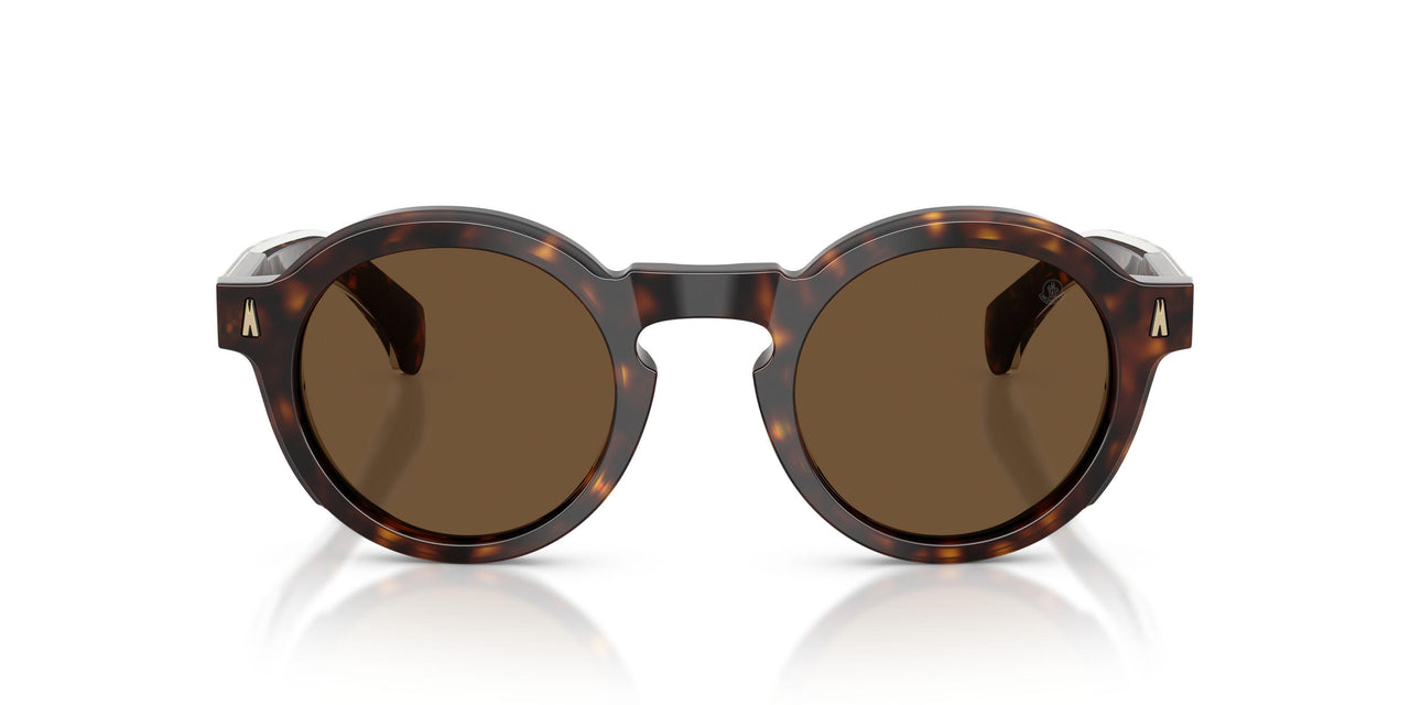 300273 - Tortoise - Solid Brown