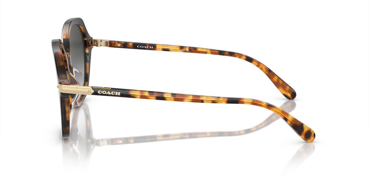 577613 - Multicolor - Grey Gradient