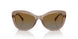 2940T5 - Brown - Polarized Brown Gradient