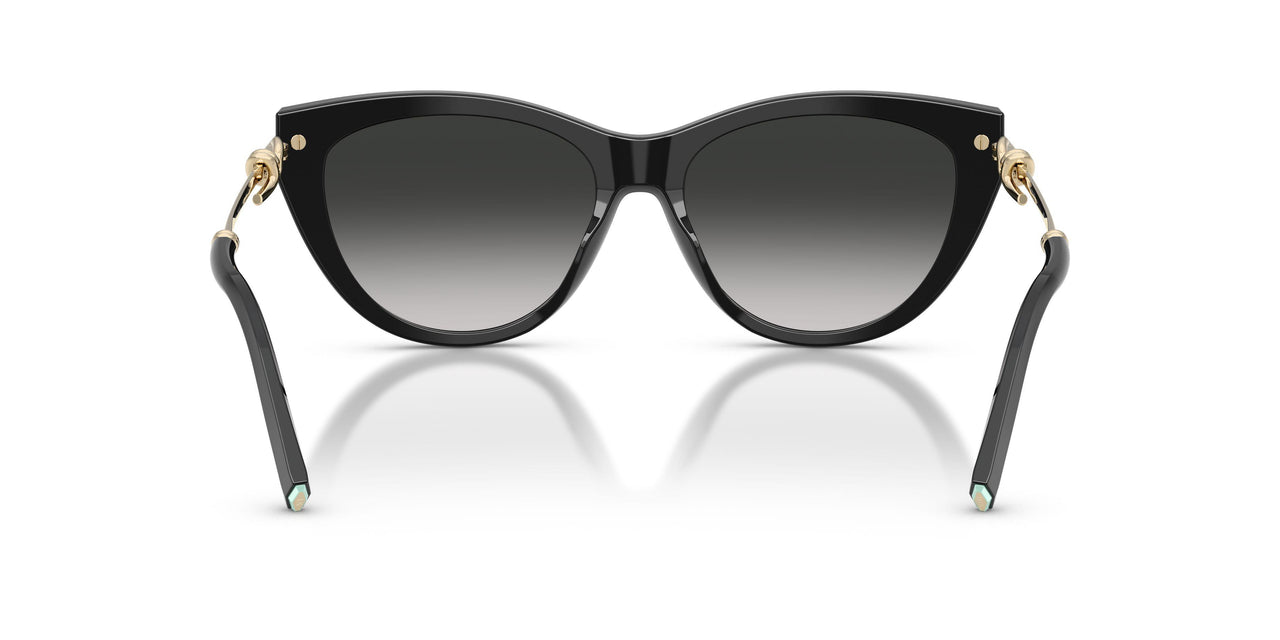80013C - Black - Grey Gradient