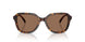 512073 - Tortoise - Brown Solid