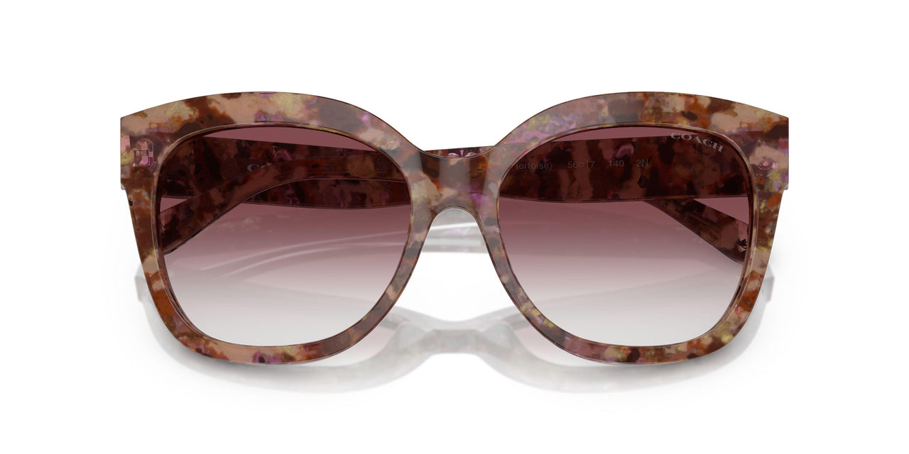 57398H - Tortoise - Purple Clear Gradient