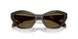 17N09Z - Tortoise - Dark Brown