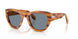 960/56 - Tortoise - Light Blue