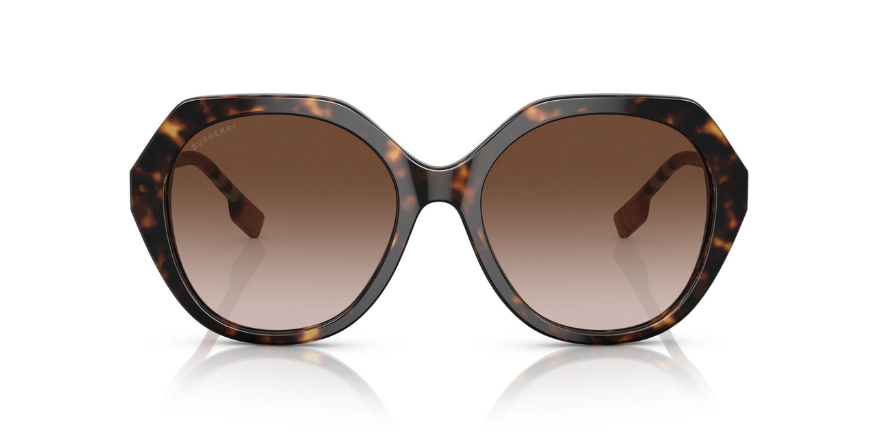 401713 - Havana - Brown Gradient