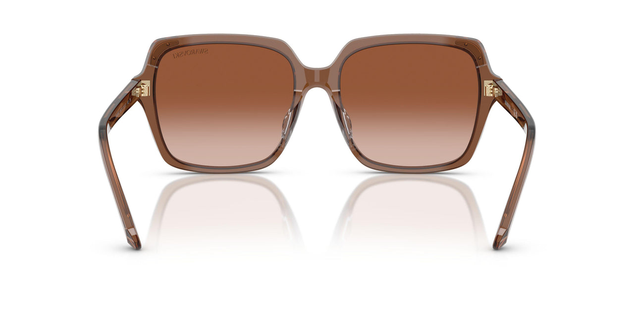 106713 - Brown - Gradient Brown