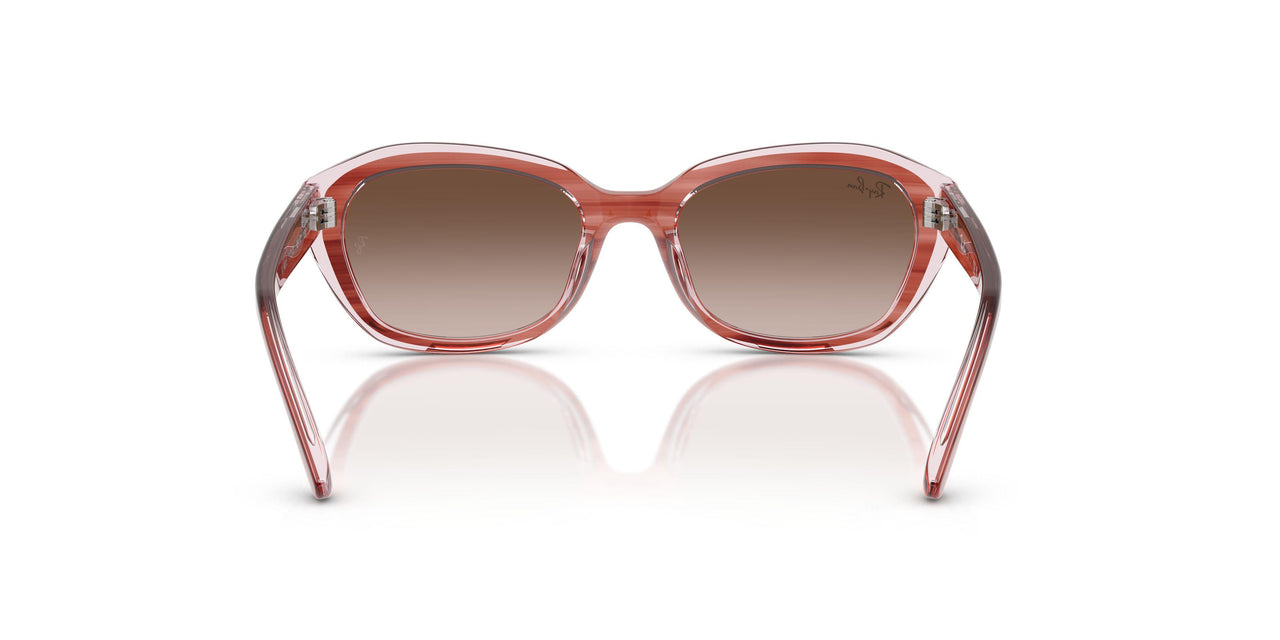 717313 - Pink - Gradient Brown
